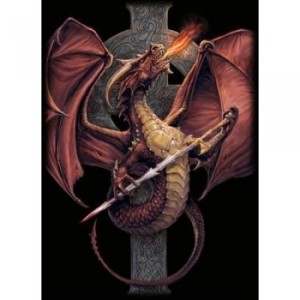 Koszulki na karty Celtic Dragon Max Protection (50szt.)